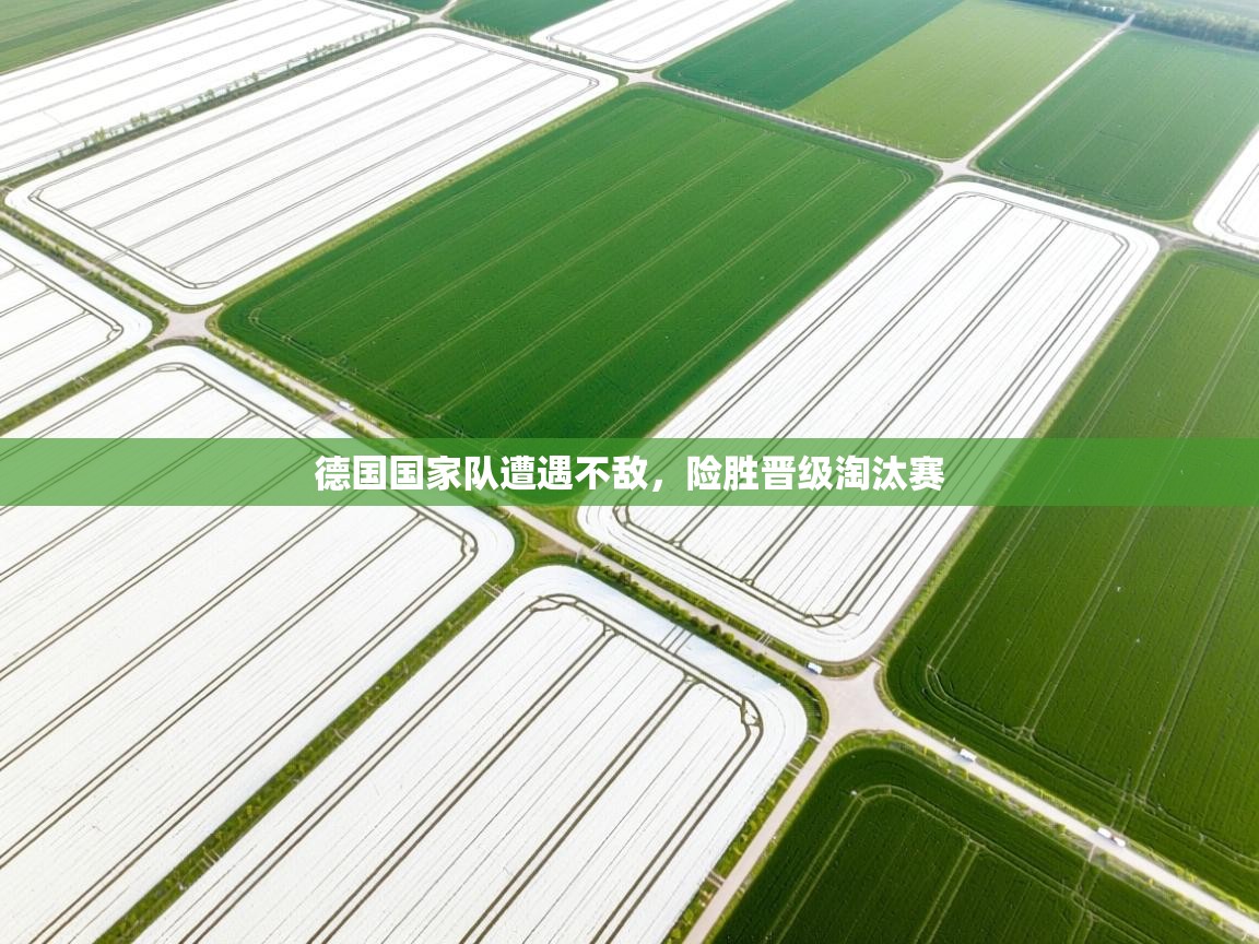 德国国家队遭遇不敌,险胜晋级淘汰赛 第2张