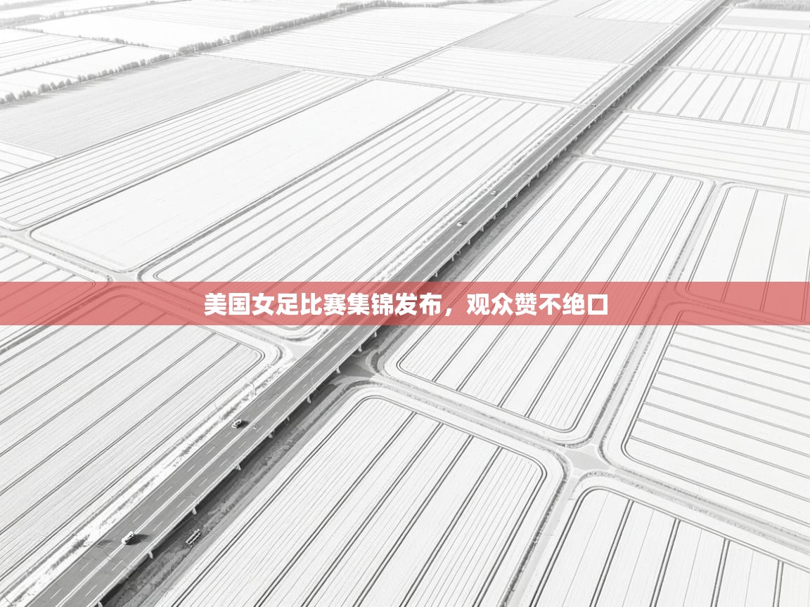 美国女足比赛集锦发布，观众赞不绝口  第2张