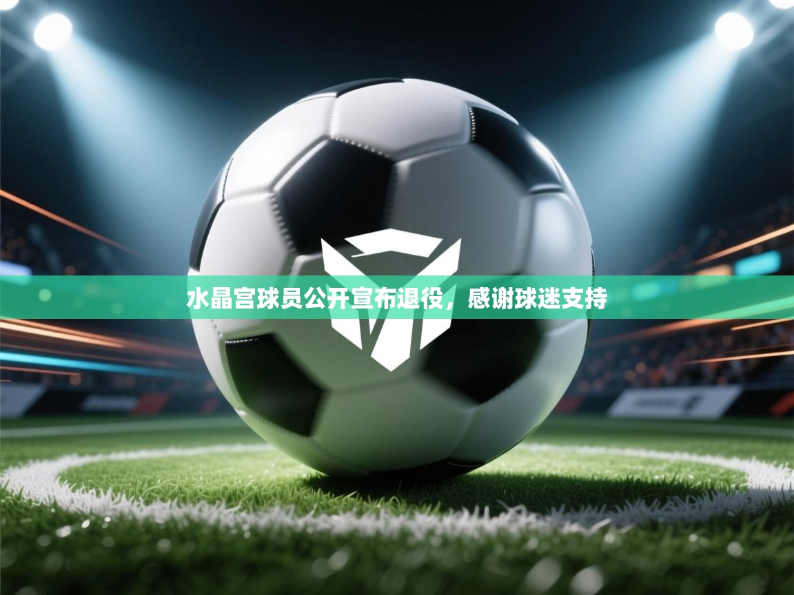水晶宫球员公开宣布退役，感谢球迷支持  第2张