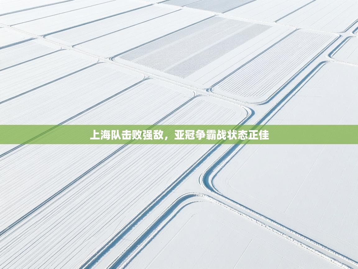 上海队击败强敌，亚冠争霸战状态正佳  第1张