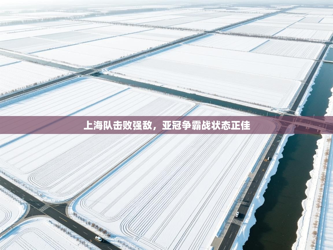 上海队击败强敌，亚冠争霸战状态正佳  第2张