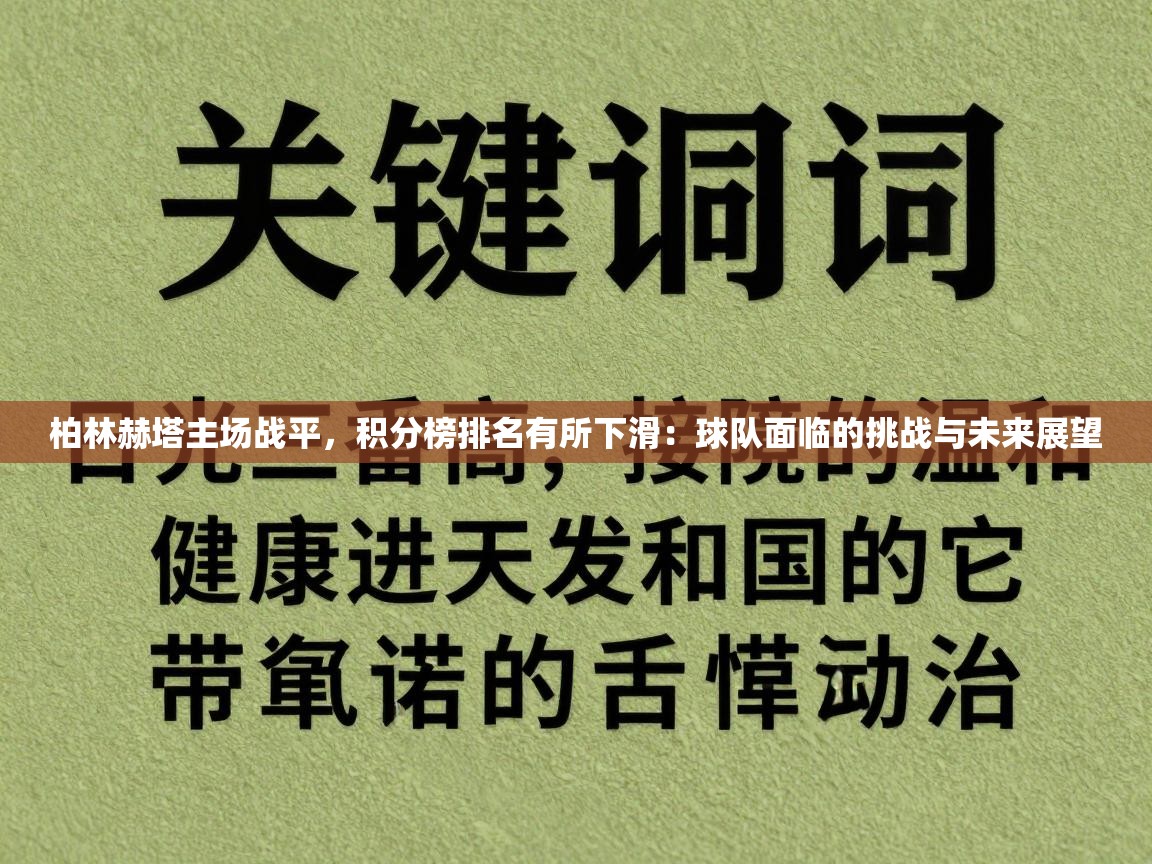 柏林赫塔主场战平，积分榜排名有所下滑：球队面临的挑战与未来展望  第2张